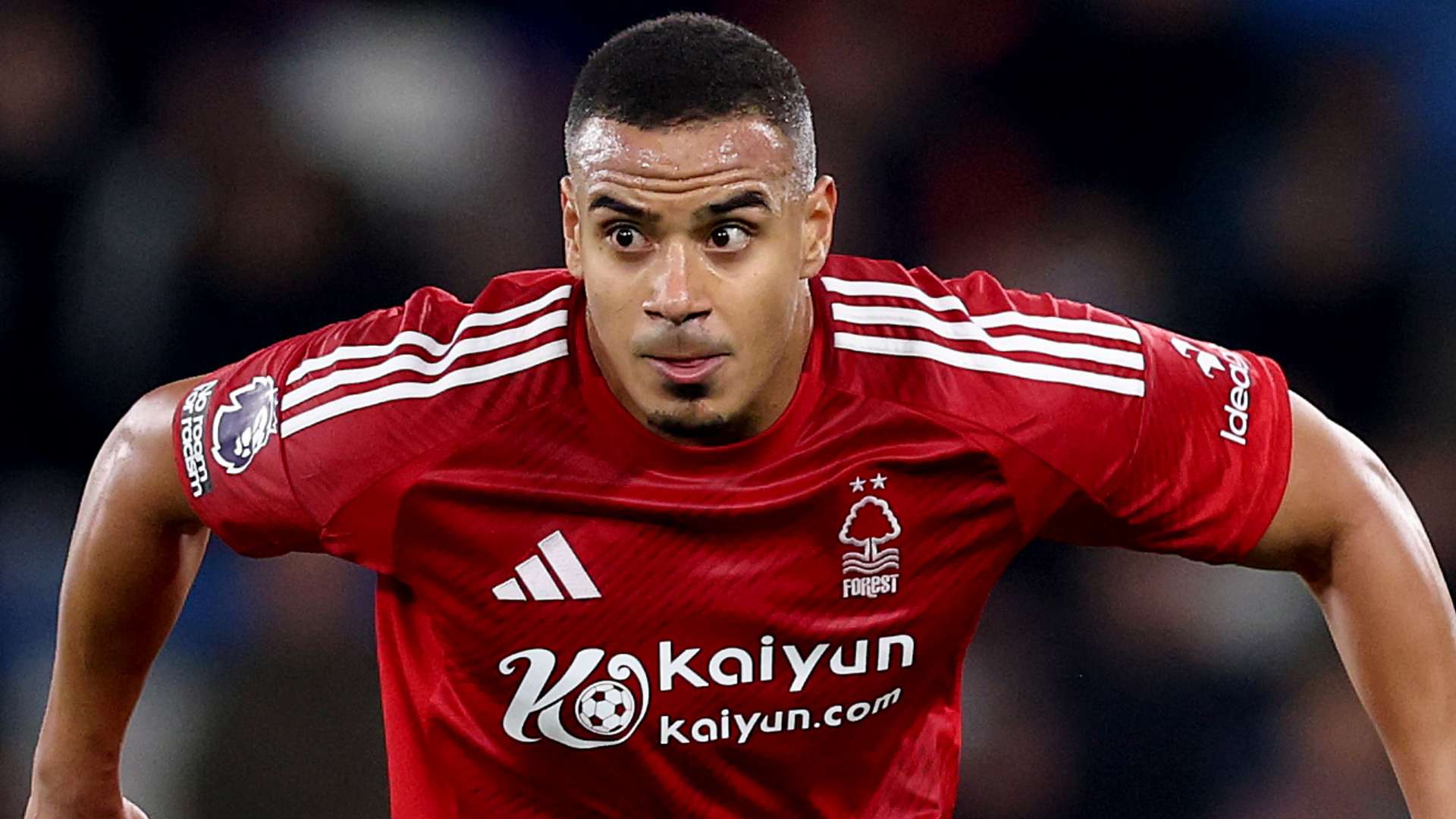 这篇文章围 这篇文章围