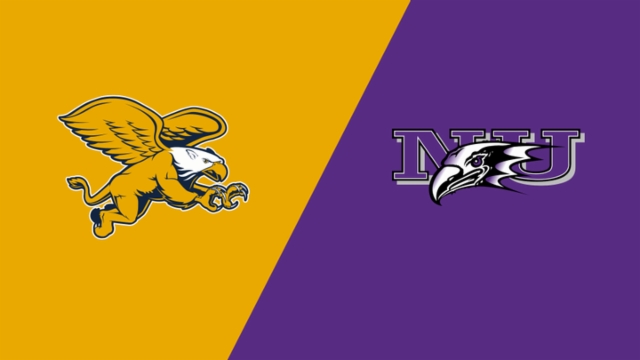 玩家应根据 玩家应根据